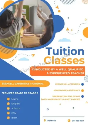 Personal Tutoring for Primary Grades