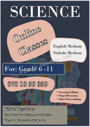 Online Classes