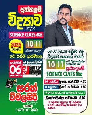 Science Classes - Grades 10/11