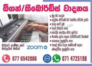 Organ - Keyboard Class (Home visit or Online)