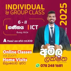 Individual and Group ICT Classes