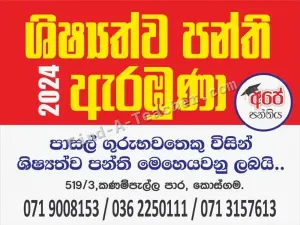 Grade 1 - 2 and Scholarship Exam Classes
