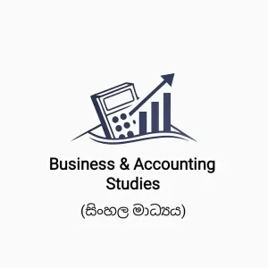 10 හා 11 - ව්‍යාපාර හා ගිණුම්කරණ අධ්‍යයනය online classes