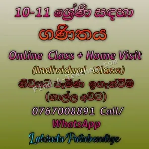 Online Maths - O/L