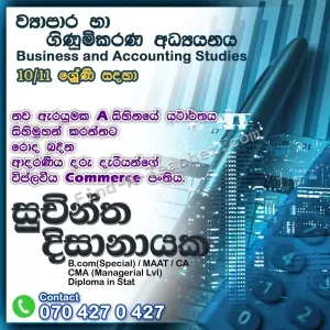 O/L 10/11 Business and Accounting Studies