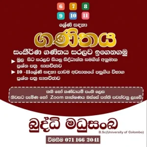 Mathematics Tuition (Grade 6 - 11)