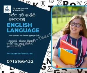 Grade 6 - 11 Online English Classes