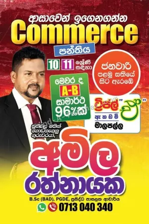 තනි හො කණ්ඩායම් පංති
