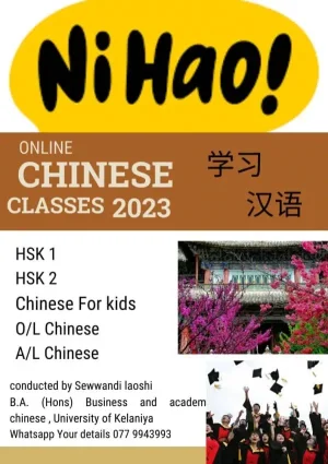 Chinese language classes