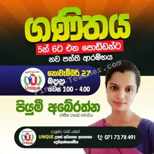 6-11 Mathematics