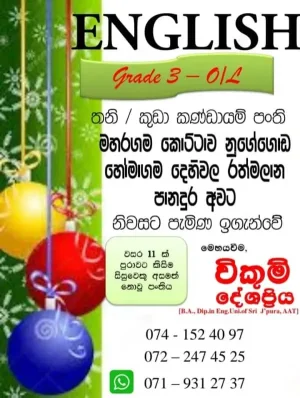 English Tuition - Grade 3 - A/L - Individual / Group