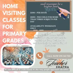 Home visiting classes for primary grades