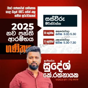 OL Mathematics Tuition Classes