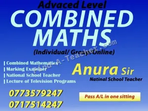 A/L Combined Mathematics individual / Group Classes
