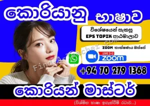 Zoom Online Classes - Korean Language