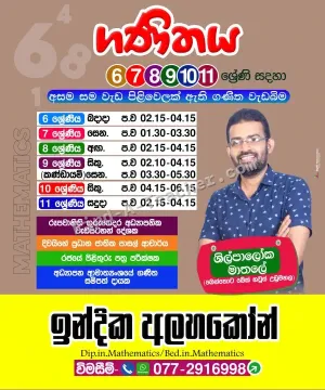 Maths Tuition - Grades 6, 7, 8, 9, 10, 11, O/L