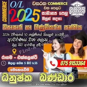 O/L Commerce - Business and Accounting Studies