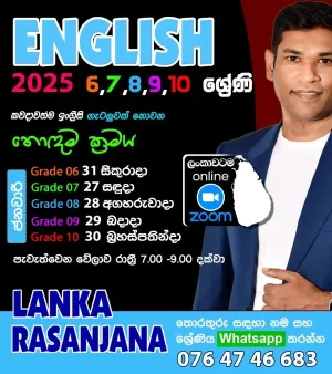 English - Grades 6 - 11 - Online and Physical Classes