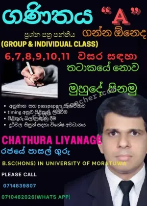 Mathematics Group and Individual Classes