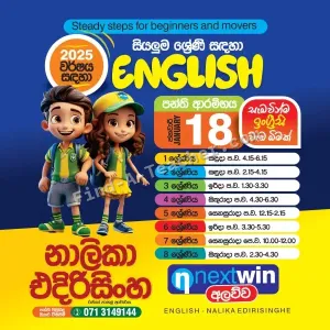 English Classes for grades 1, 2, 3, 4, 5, 6, 7, 8