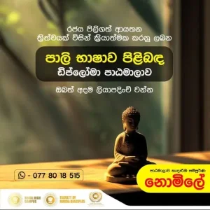Pali Language Diploma Course