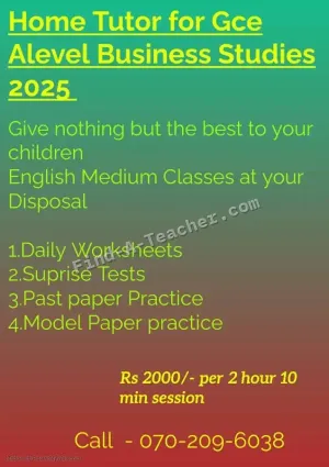 Home Visit Individual Classes For GCE Alevel Business Studies 2025 Batch - Colombo