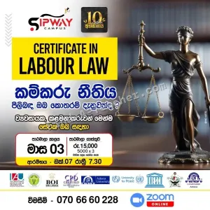 Certificate in Labour Law