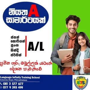 Language Infinity Training School - LITS Academy