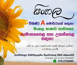 A/L and O/L Sinhala Language Classes