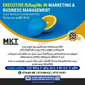 Executive Diploma in Marketing and Business Management