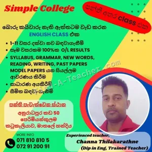 Grade 1 - 11 English Tuition