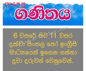 O/L mathematics 6-11 - Individual Classes