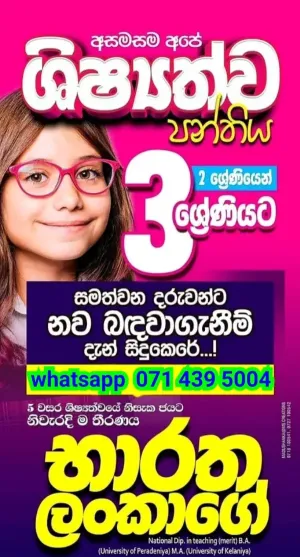 Sinhala, Maths, ENV, Tamil, English Classes