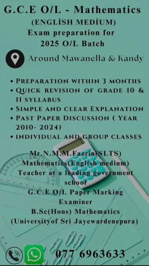 English medium Maths classes 6-11 by graduate teacher