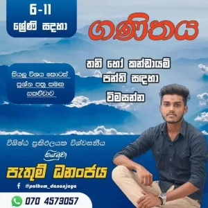 Mathematics Grade 6-11 - Individual or Group classes