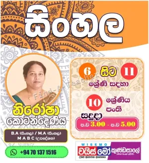 Grade 6 to Grade 11 - Sinhala Classes