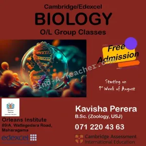 Biology Edexcel / Cambridge