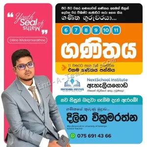 Mathematics Teacher - Grades 6-11