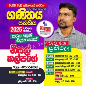 Mathematics Sinhala medium Tuition Grade 6-11