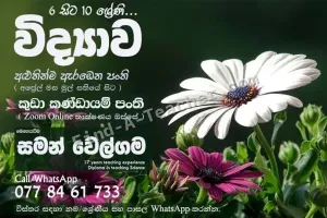 Science 6-11