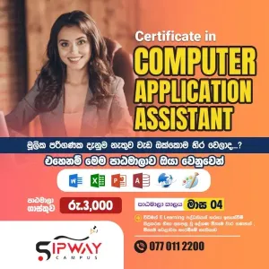 Certificate in Computer Application Assistant