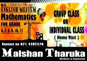 Grade 6 to Grade 11 - Mathematics - Local and London