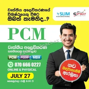 SLIM PCM program