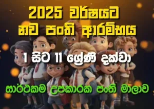 Tuition Grade 1 to Grade 11 Classes