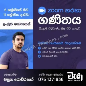 Mathematics Grade 6 to Grade 11 - Online
