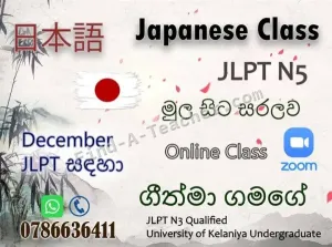 Online Classes - Japanese Language