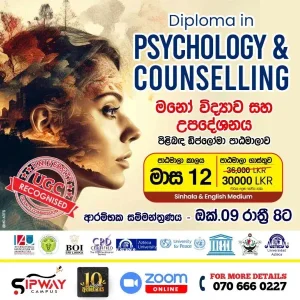 Diploma in Psychology and Counselling