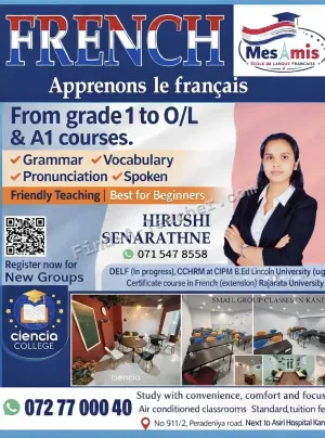 French Classes for grades 1 to O/L
