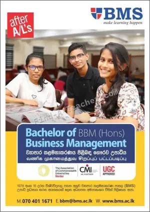 Bachelor of Business Management - BBM (Hons)