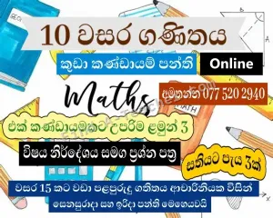 Year 10/11 Mathematics Classes